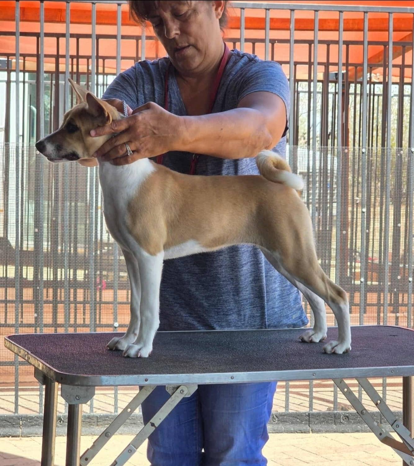 Lukuru Monzoto ya Avant na Kasendo