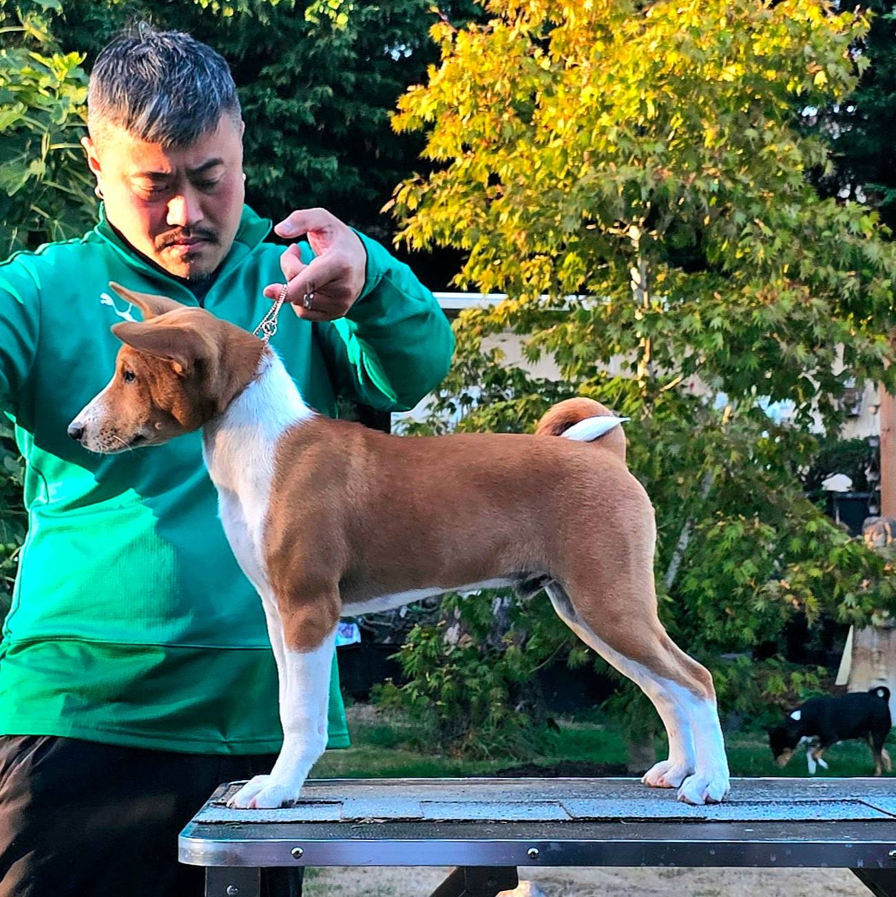 Avant's Zamba Monene Lukuru